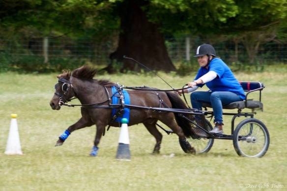 Scurry Racing Oxford 201510