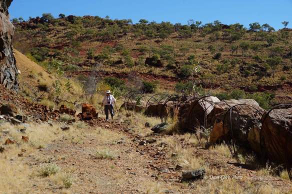 cloncurry Camooweal 36
