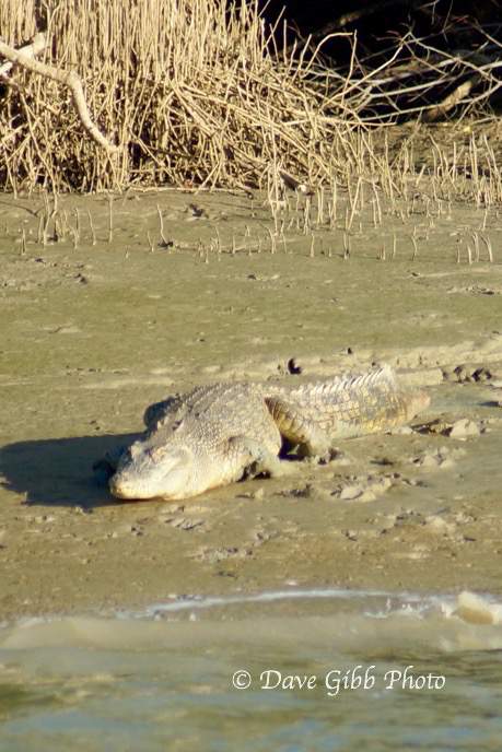 Normanton sunset cruise10