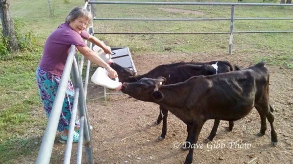 House sitting Nics01