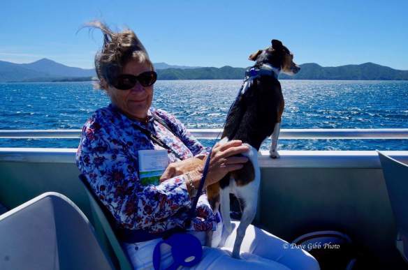 magic-mail-trip-daves10