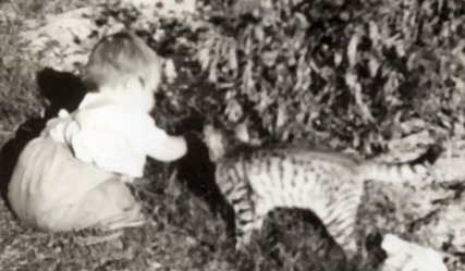 N ast 6 mths with cat