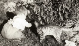 N ast 6 mths with cat