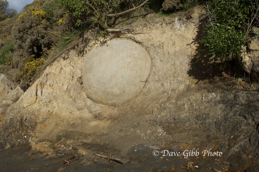 Moeraki Boulders03