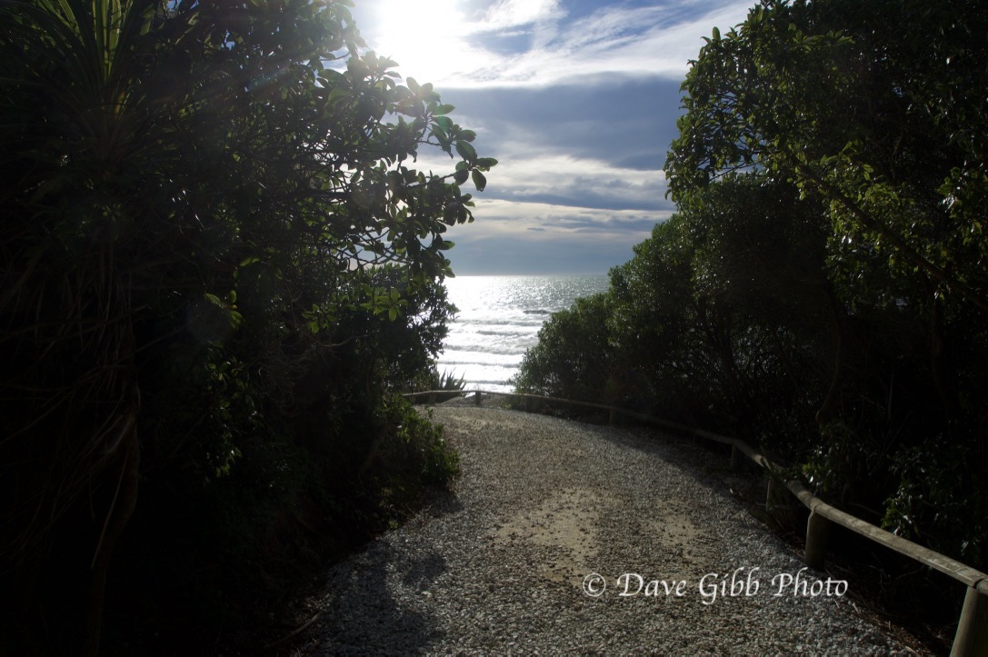 Moeraki Boulders05